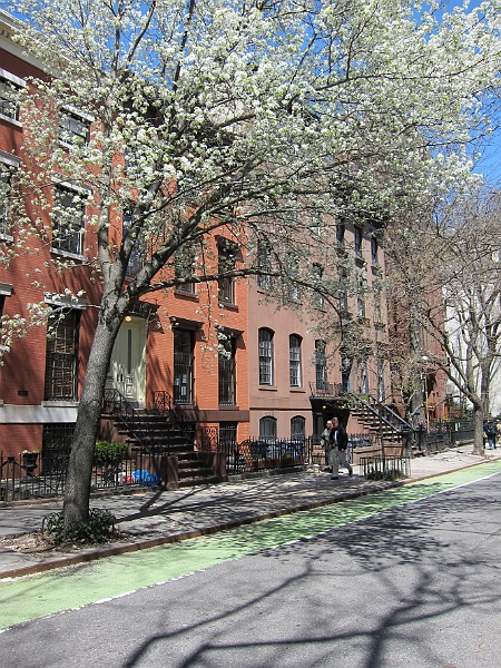 Brooklyn Heights Spring 2011 - 17-04-2011 12-31-11.jpg