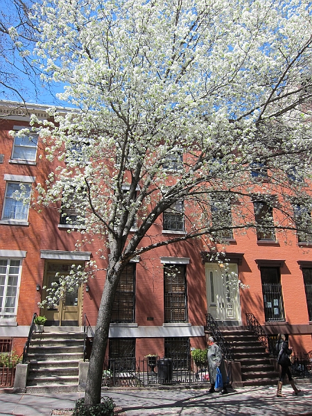 Brooklyn Heights Spring 2011 - 17-04-2011 12-31-27.jpg