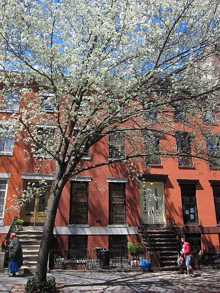 Brooklyn Heights Spring 2011 - 17-04-2011 12-31-42.jpg