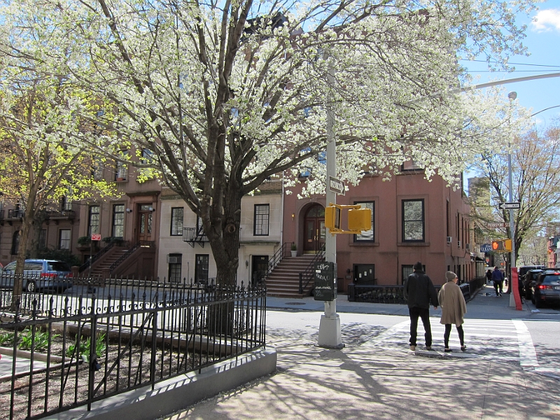 Brooklyn Heights Spring 2011 - 17-04-2011 12-33-56.jpg