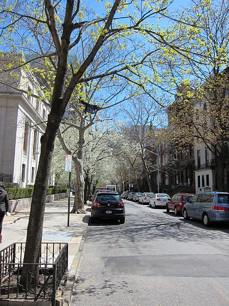 Brooklyn Heights Spring 2011 - 17-04-2011 12-34-51.jpg