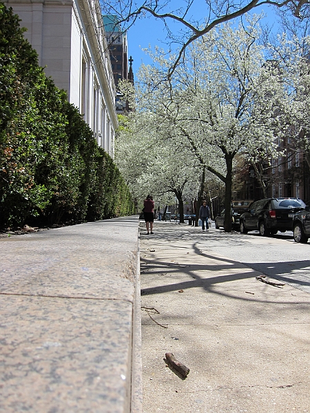 Brooklyn Heights Spring 2011 - 17-04-2011 12-35-28.jpg