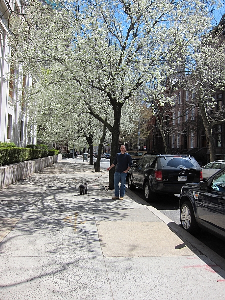 Brooklyn Heights Spring 2011 - 17-04-2011 12-36-15.jpg