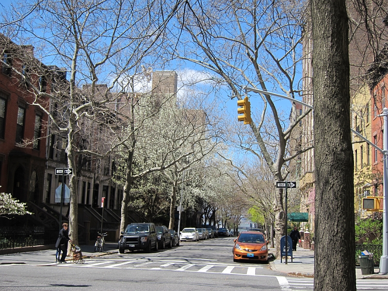 Brooklyn Heights Spring 2011 - 17-04-2011 12-42-51.jpg