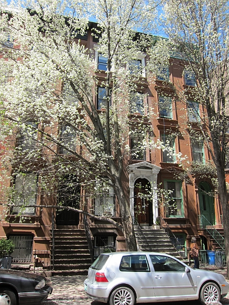 Brooklyn Heights Spring 2011 - 17-04-2011 12-46-20.jpg