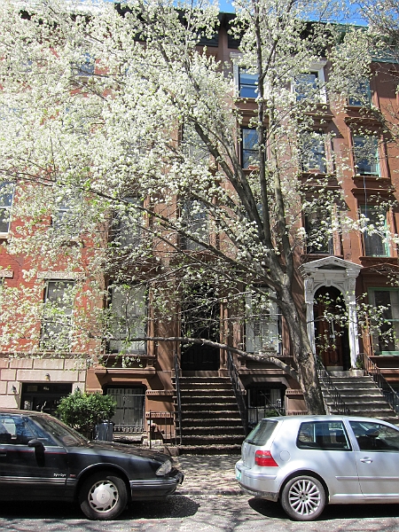 Brooklyn Heights Spring 2011 - 17-04-2011 12-46-28.jpg