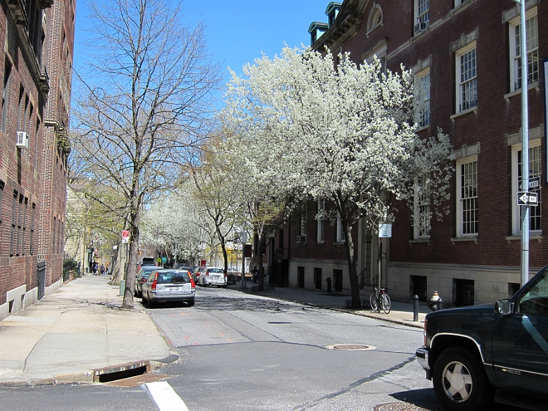 Brooklyn Heights Spring 2011 - 17-04-2011 12-53-54.jpg