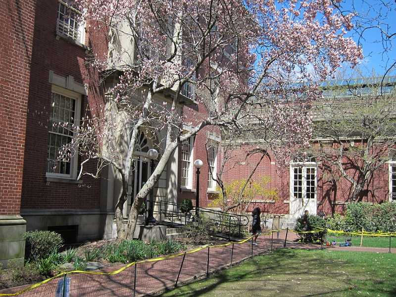 Brooklyn Heights Spring 2011 - 17-04-2011 12-54-50.jpg