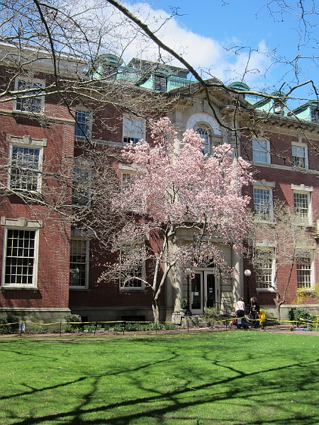 Brooklyn Heights Spring 2011 - 17-04-2011 12-55-47.jpg