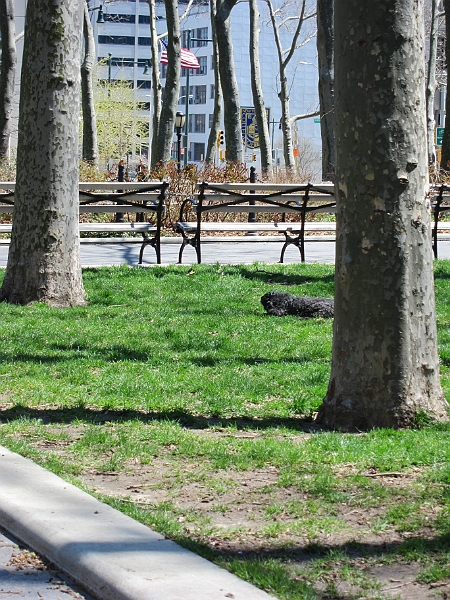 Brooklyn Heights Spring 2011 - 17-04-2011 13-12-05.jpg