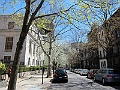 Brooklyn Heights Spring 2011 - 17-04-2011 12-35-03