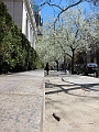 Brooklyn Heights Spring 2011 - 17-04-2011 12-35-28