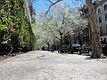 Brooklyn Heights Spring 2011 - 17-04-2011 12-35-41