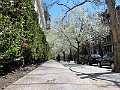 Brooklyn Heights Spring 2011 - 17-04-2011 12-35-47