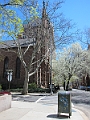 Brooklyn Heights Spring 2011 - 17-04-2011 12-37-32