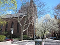 Brooklyn Heights Spring 2011 - 17-04-2011 12-37-38