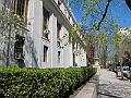 Brooklyn Heights Spring 2011 - 17-04-2011 12-38-00