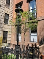 Brooklyn Heights Spring 2011 - 17-04-2011 12-41-30