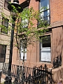 Brooklyn Heights Spring 2011 - 17-04-2011 12-41-35