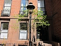 Brooklyn Heights Spring 2011 - 17-04-2011 12-41-53