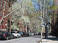 Brooklyn Heights Spring 2011 - 17-04-2011 12-44-49