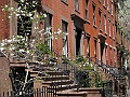 Brooklyn Heights Spring 2011 - 17-04-2011 12-45-17