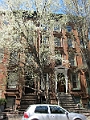 Brooklyn Heights Spring 2011 - 17-04-2011 12-46-54