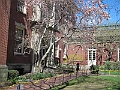 Brooklyn Heights Spring 2011 - 17-04-2011 12-54-50