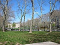 Brooklyn Heights Spring 2011 - 17-04-2011 13-13-03