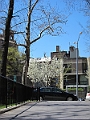 Brooklyn Heights Spring 2011 - 17-04-2011 13-14-04