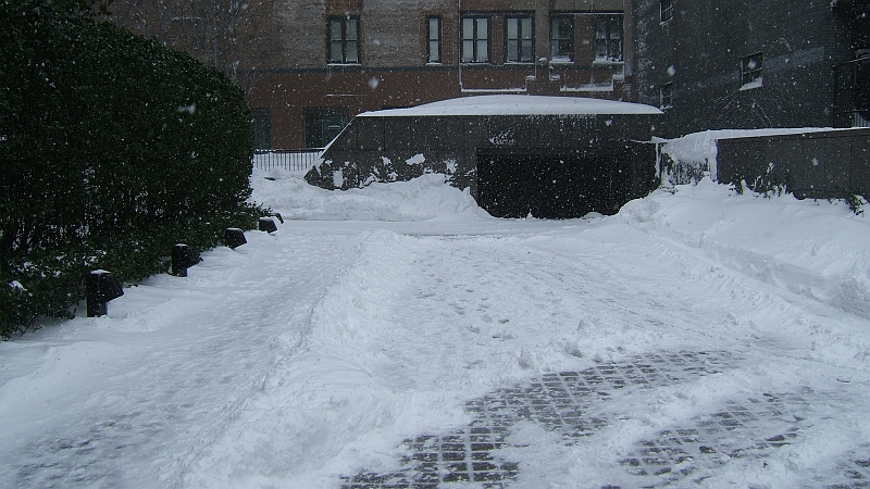 Courtyard snowed in.JPG