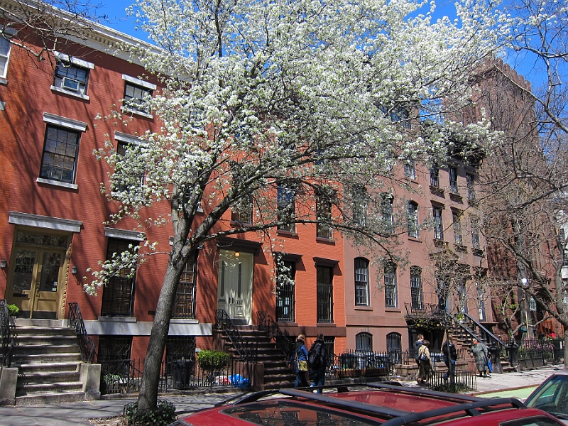 Brooklyn Heights Spring 2011 - 17-04-2011 12-30-53.jpg