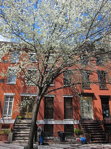 Brooklyn Heights Spring 2011 - 17-04-2011 12-31-36.jpg