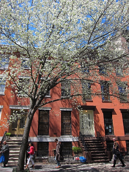 Brooklyn Heights Spring 2011 - 17-04-2011 12-31-46.jpg