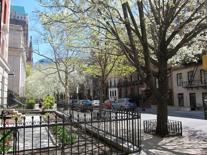 Brooklyn Heights Spring 2011 - 17-04-2011 12-34-10.jpg