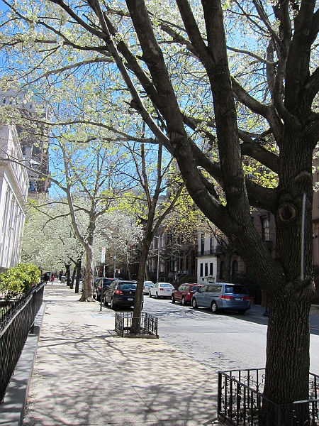 Brooklyn Heights Spring 2011 - 17-04-2011 12-34-25.jpg