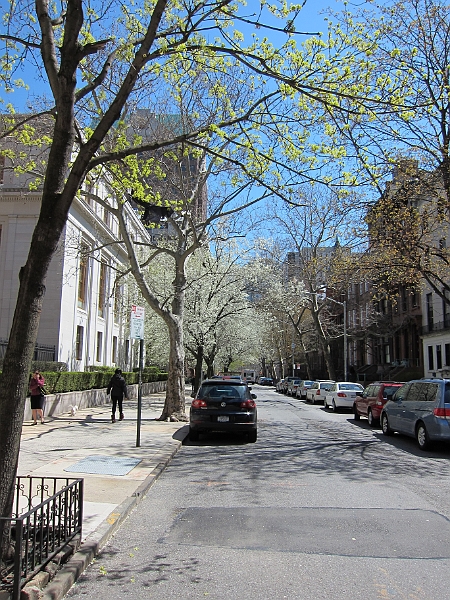 Brooklyn Heights Spring 2011 - 17-04-2011 12-34-57.jpg