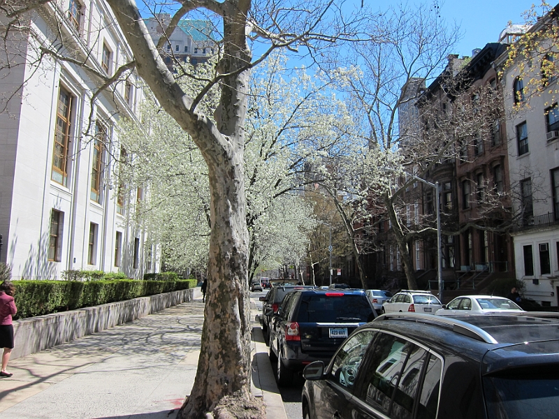 Brooklyn Heights Spring 2011 - 17-04-2011 12-35-17.jpg