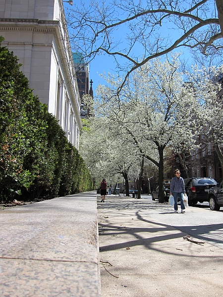 Brooklyn Heights Spring 2011 - 17-04-2011 12-35-34.jpg