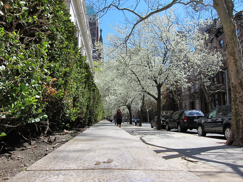 Brooklyn Heights Spring 2011 - 17-04-2011 12-35-47.jpg