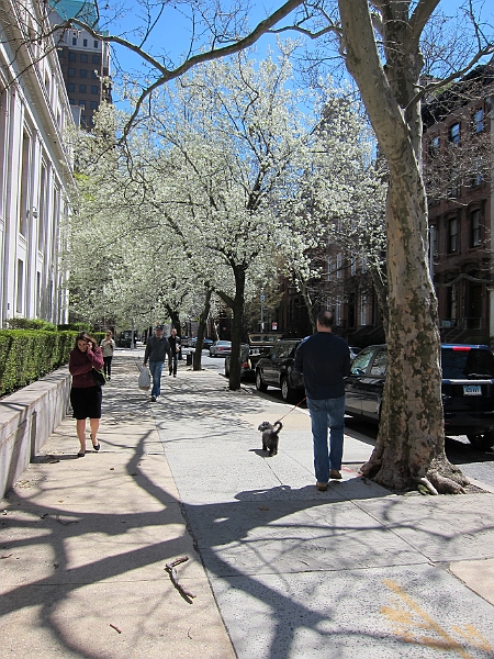 Brooklyn Heights Spring 2011 - 17-04-2011 12-35-59.jpg