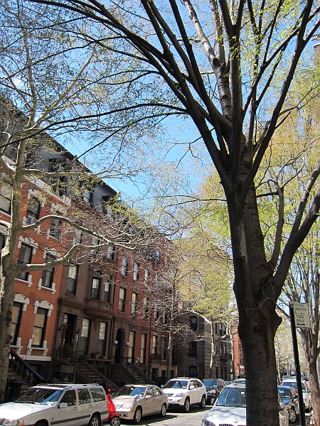 Brooklyn Heights Spring 2011 - 17-04-2011 12-41-58.jpg