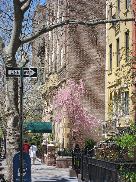 Brooklyn Heights Spring 2011 - 17-04-2011 12-43-16.jpg