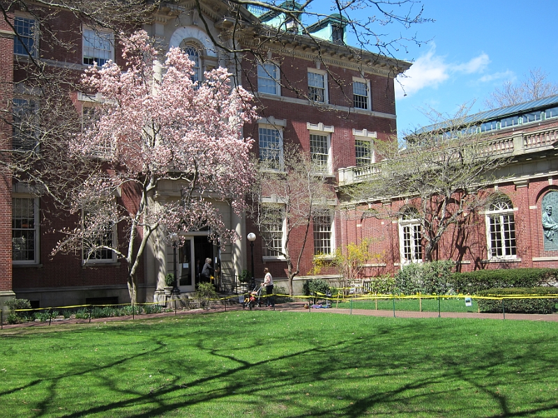 Brooklyn Heights Spring 2011 - 17-04-2011 12-55-37.jpg