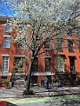 Brooklyn Heights Spring 2011 - 17-04-2011 12-31-32