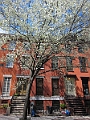 Brooklyn Heights Spring 2011 - 17-04-2011 12-31-36