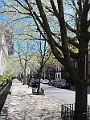 Brooklyn Heights Spring 2011 - 17-04-2011 12-34-25