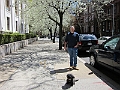 Brooklyn Heights Spring 2011 - 17-04-2011 12-36-35