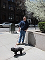 Brooklyn Heights Spring 2011 - 17-04-2011 12-38-32