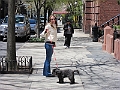 Brooklyn Heights Spring 2011 - 17-04-2011 12-40-40